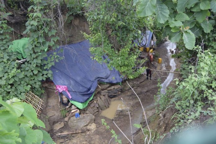 191540593_1445619285797331_1224942721928381836_n