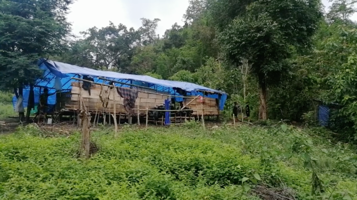 220599293_4547107155351667_3615095239473938640_n