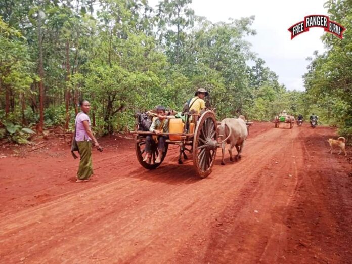 238435382_124910833211101_8237068813699261150_n