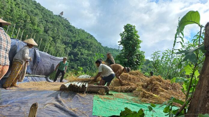 244649931_1013139599465288_4047453781911099715_n