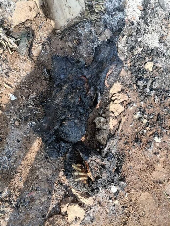 273945630_852573935458033_5476860873334126837_n