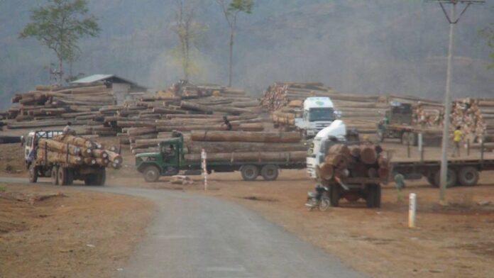 logging