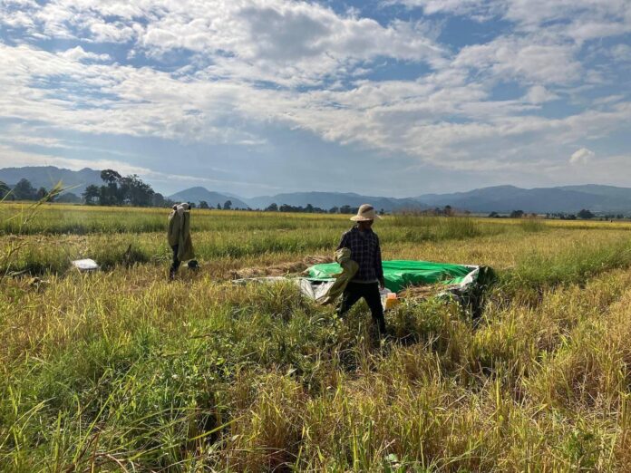 signal-2022-10-17-181948_004