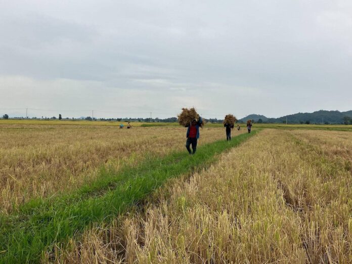 signal-2022-10-17-181948_005