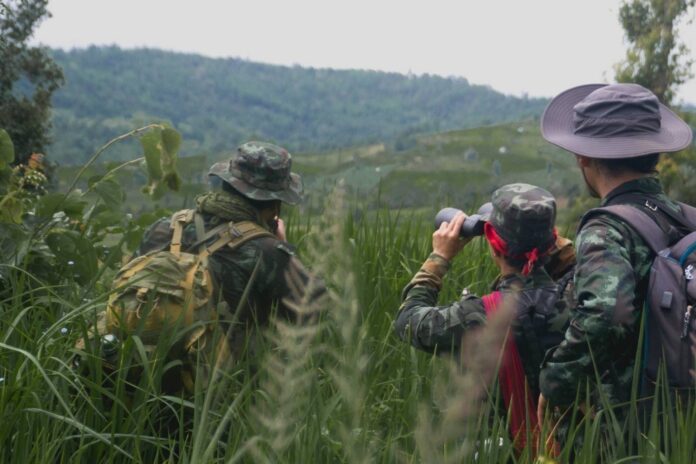 signal-2022-11-24-161518_002