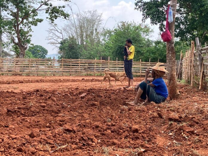 signal-2023-05-03-134027_002