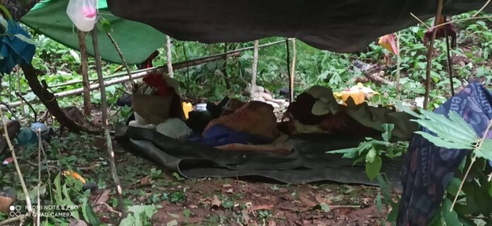 signal-2023-07-10-181650_004