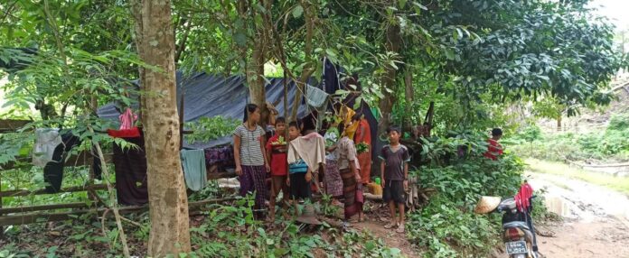 signal-2023-10-17-130840_003