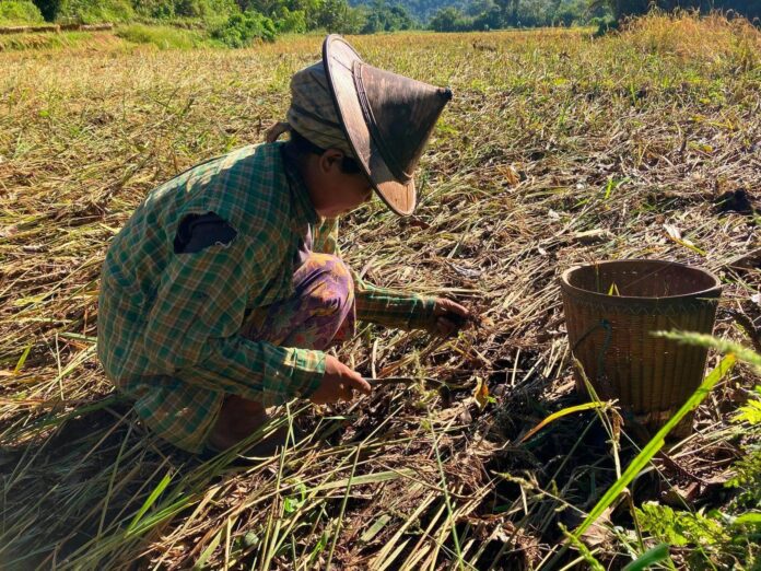 signal-2023-11-07-121454_005