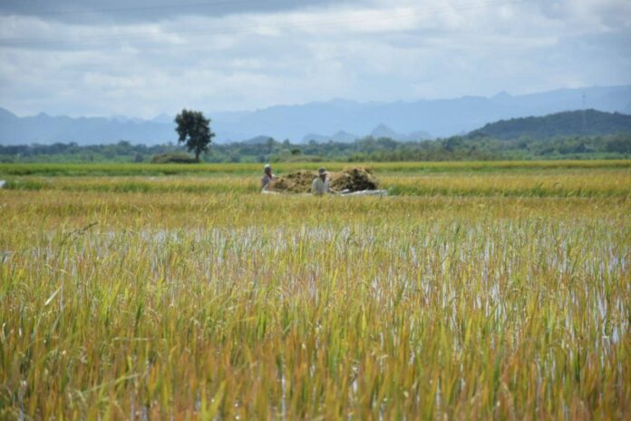 signal-2023-12-21-113434_002