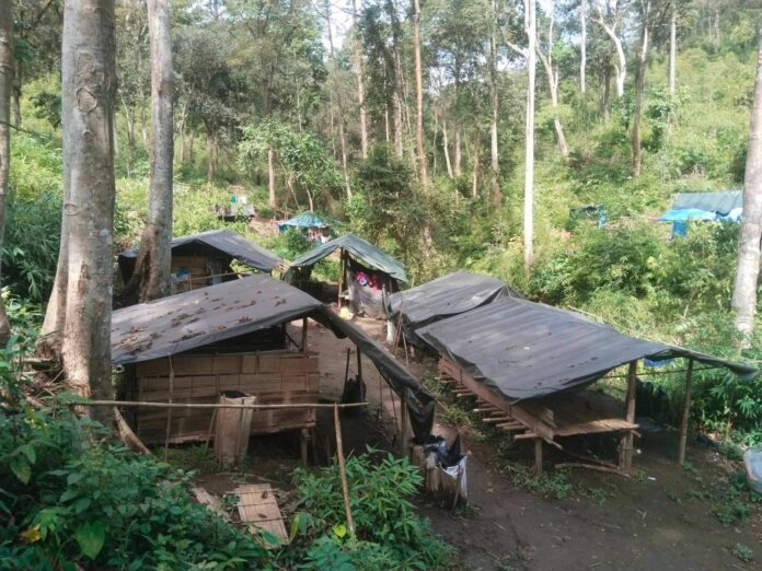 signal-2024-02-26-134847_003