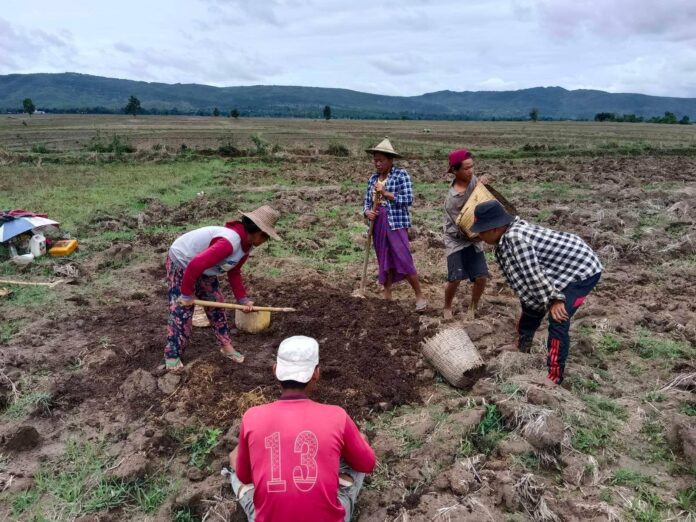 signal-2024-03-20-135622_002