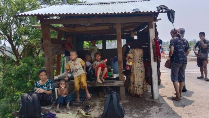 signal-2024-04-29-193229_003 (1)