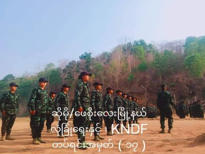 signal-2024-05-03-112444_002