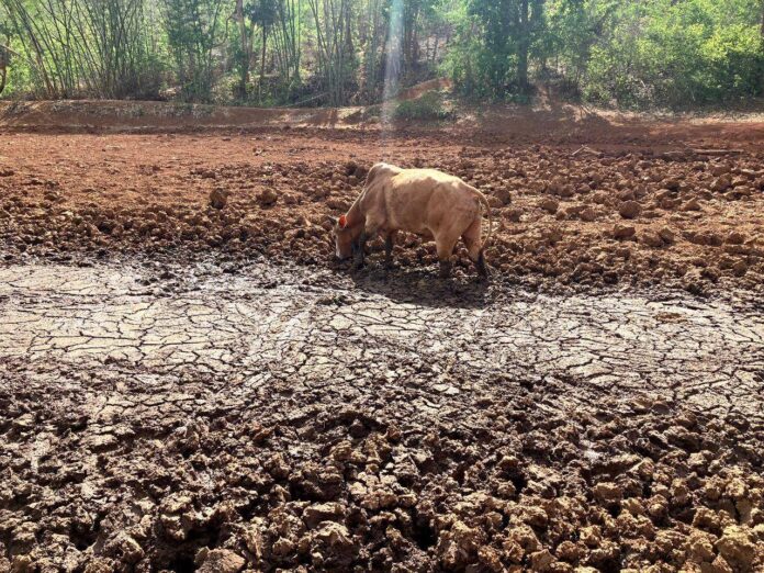 signal-2024-05-16-112553_010