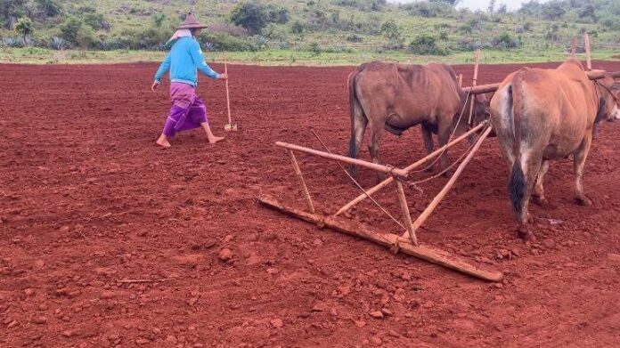 signal-2024-06-24-121435_004