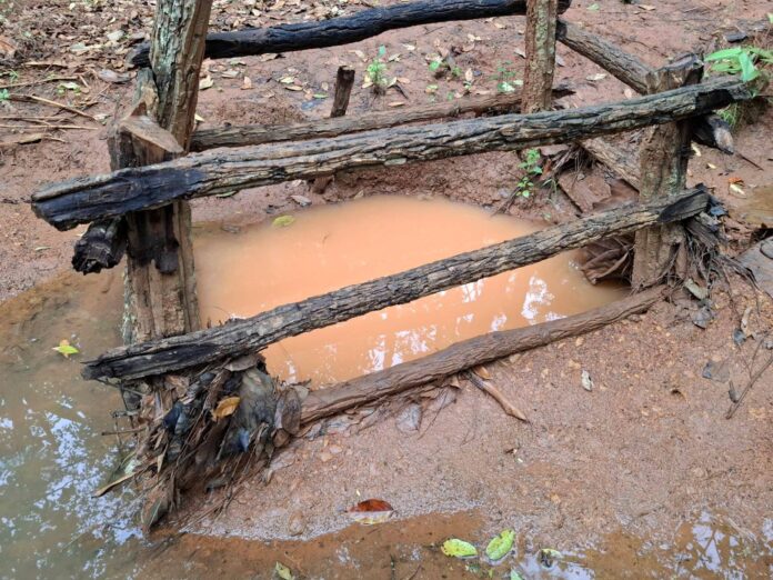 signal-2024-07-05-113028_002