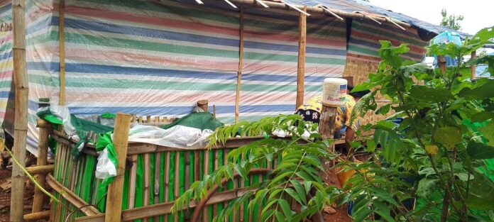 signal-2024-07-11-104339_003