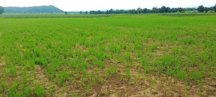 signal-2024-07-18-123456_002