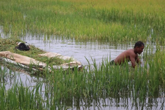 signal-2024-07-30-143828_002