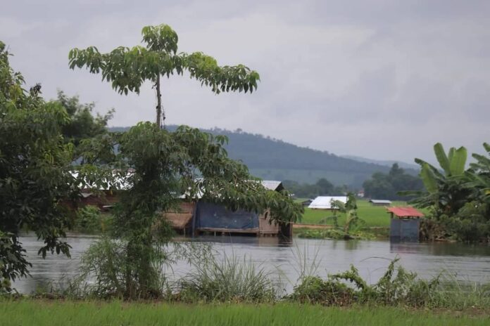 signal-2024-07-31-162837_007