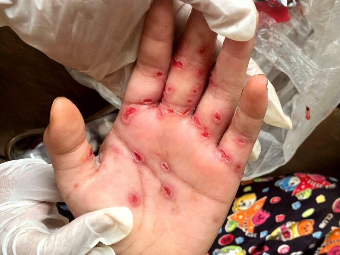 signal-2024-08-14-112410_008