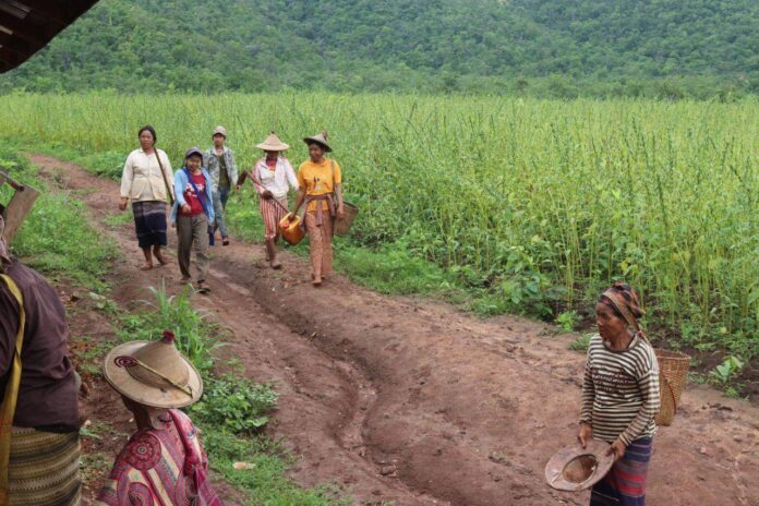 signal-2024-08-20-135647_002