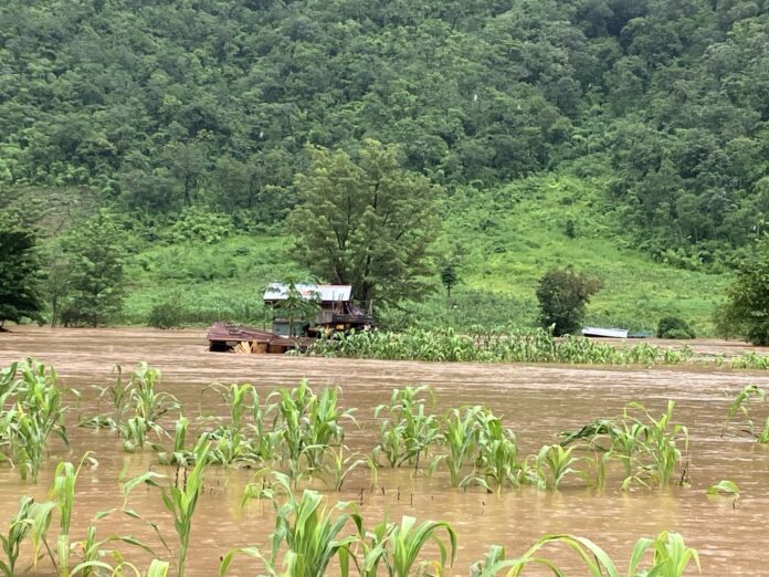 signal-2024-09-15-093715_003