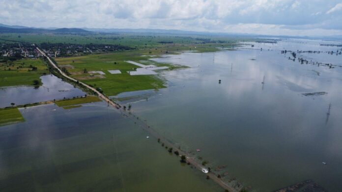 signal-2024-09-26-121233_003