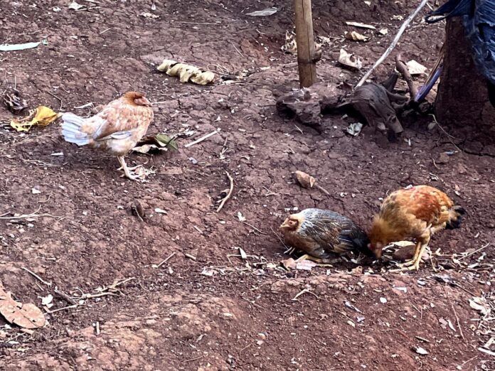 photo_2024-10-21_10-34-50