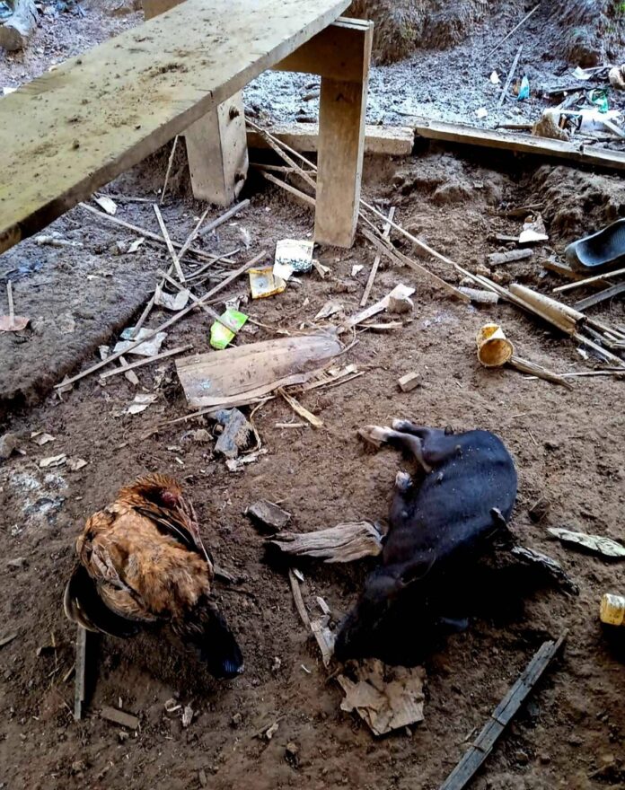 signal-2024-10-08-110207_004