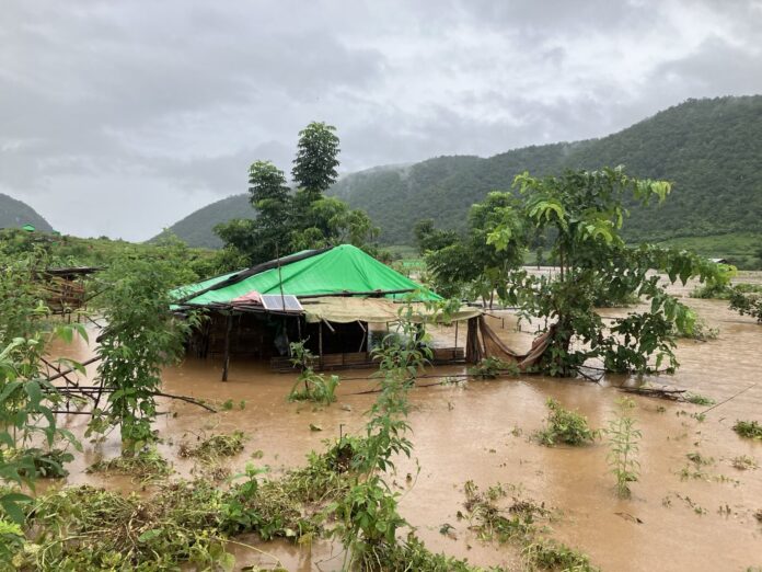 signal-2024-10-18-152746_002