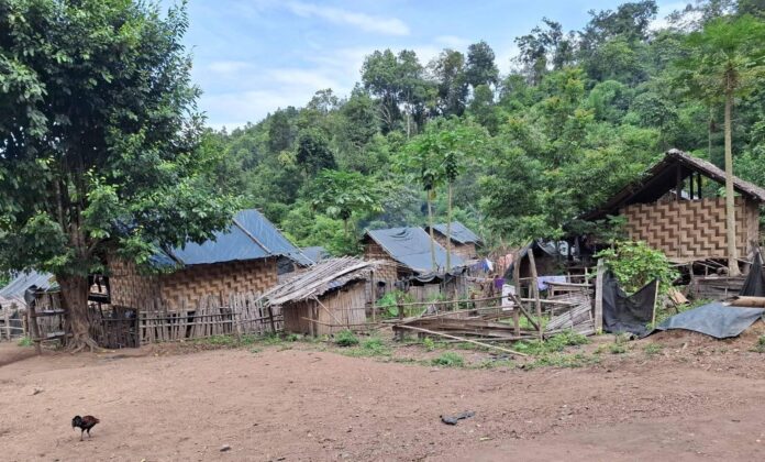 signal-2024-10-23-134552_003