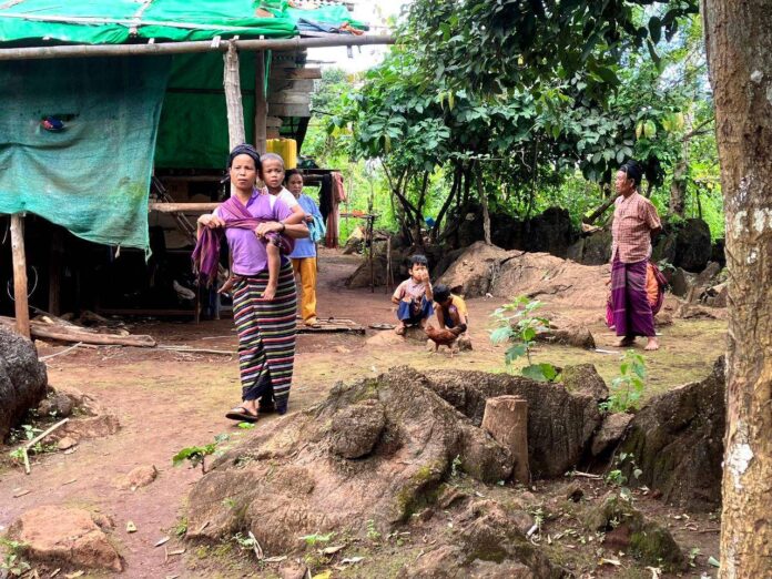 signal-2024-10-28-104432_003