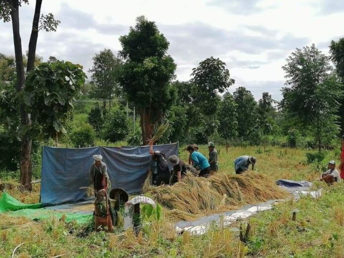 signal-2024-11-08-121315_002