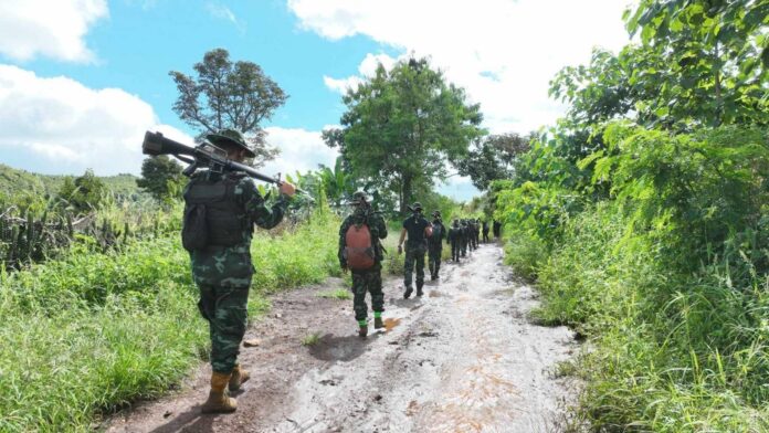 signal-2024-11-14-135947_003