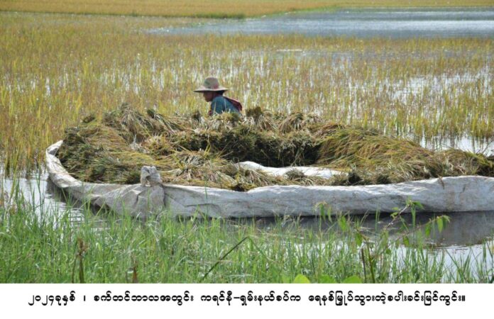 signal-2024-11-14-211053_003