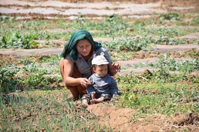 signal-2024-11-25-141244_002