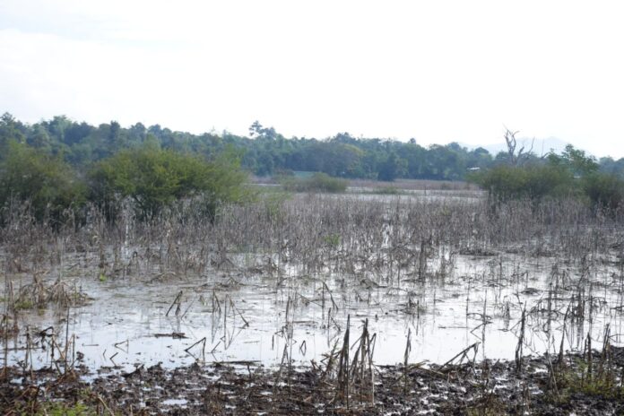 470579340_1013146017518637_1154934243541518596_n