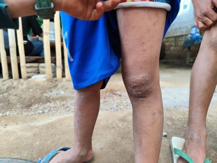 signal-2024-12-26-121742_006