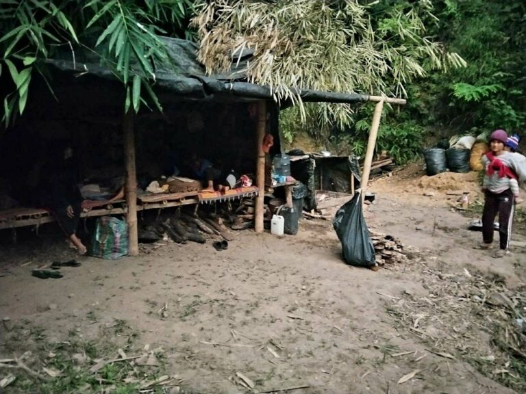 Life Under the Drones: Families Forced to Sleep in the Forest Despite Having Homes Life Under the Drones: Families Forced to Sleep in the Forest Despite Having Homes