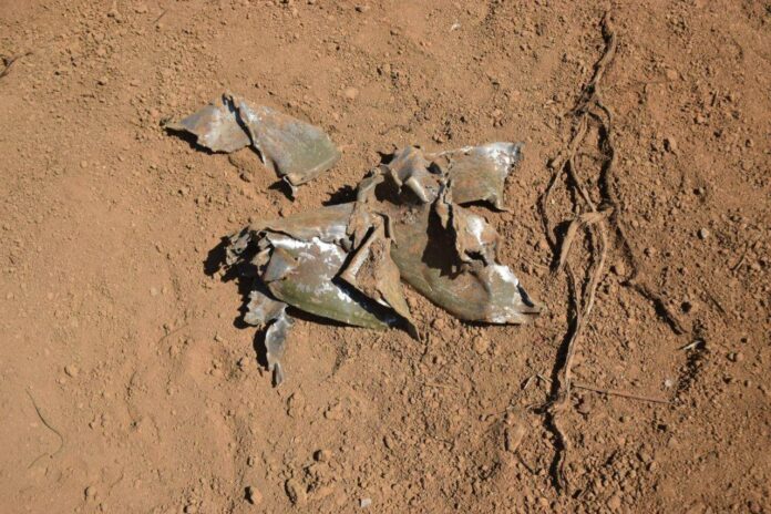 signal-2025-01-15-150616_002