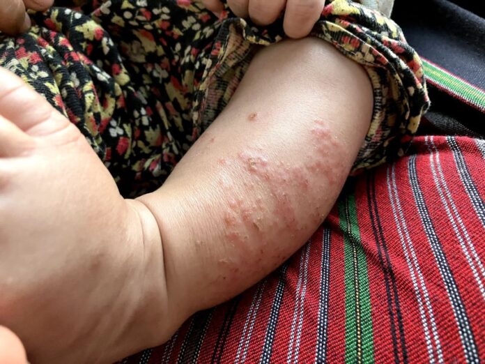 signal-2025-02-04-121120_006