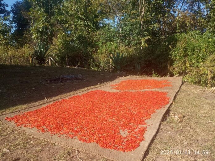 signal-2025-02-06-103844_003