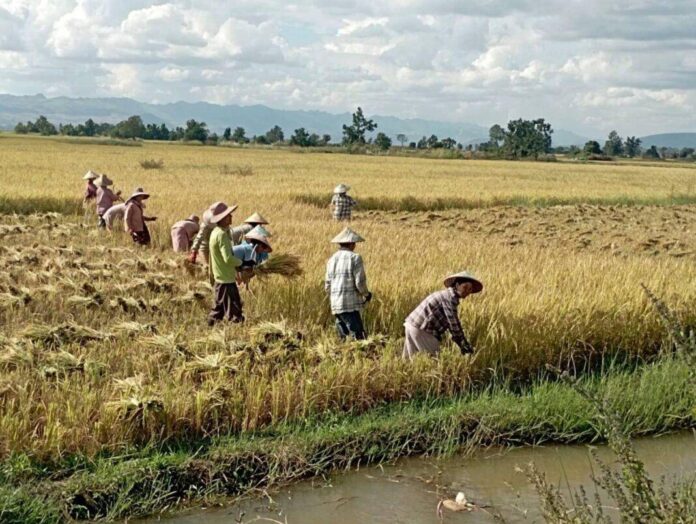 signal-2025-03-07-141915_002