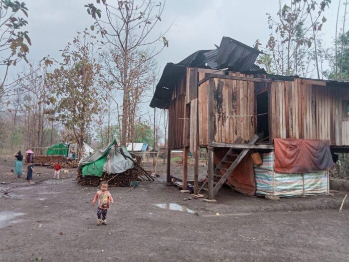 signal-2025-04-01-110740_002