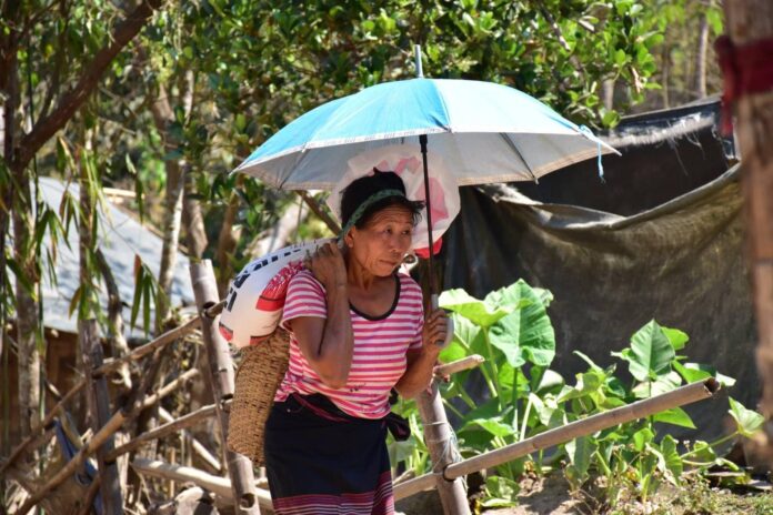 signal-2025-04-13-172142_002