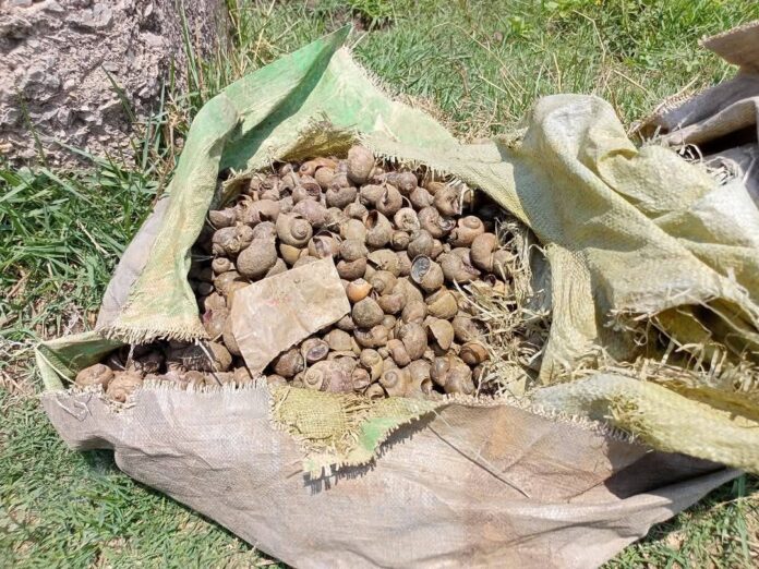 signal-2025-04-26-125842_004