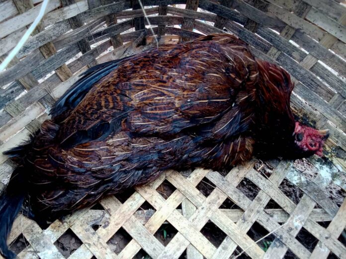 signal-2025-05-15-123214_002