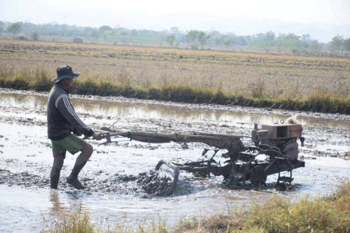 500525755_1143884157778155_1815715855607722929_n